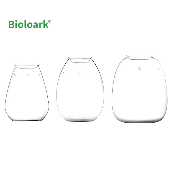 BIOLOARK - Glass Jar Terrarium (GP-175/205/210)