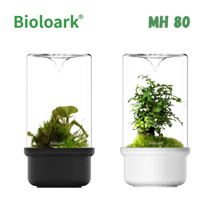 BIOLOARK - Bio Bottle Terrarium (MH-80/100/120) (Black/White)