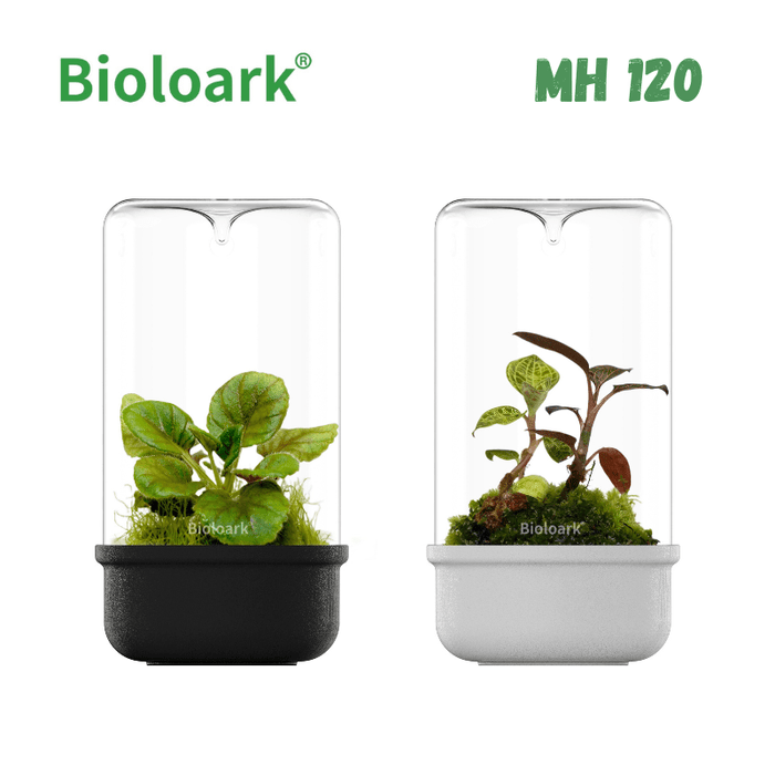 BIOLOARK - Bio Bottle Terrarium (MH-80/100/120) (Black/White)