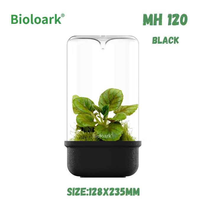 BIOLOARK - Bio Bottle Terrarium (MH-80/100/120) (Black/White)