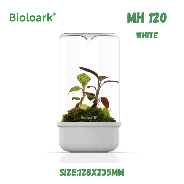 BIOLOARK - Bio Bottle Terrarium (MH-80/100/120) (Black/White)