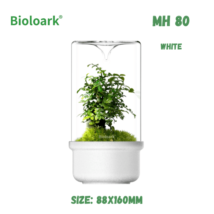 BIOLOARK - Bio Bottle Terrarium (MH-80/100/120) (Black/White)