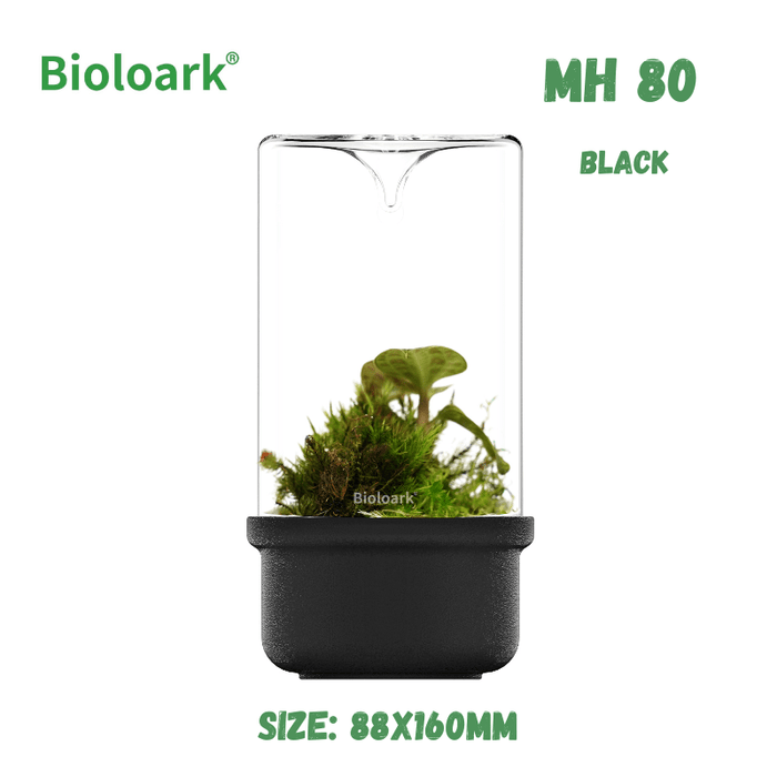 BIOLOARK - Bio Bottle Terrarium (MH-80/100/120) (Black/White)