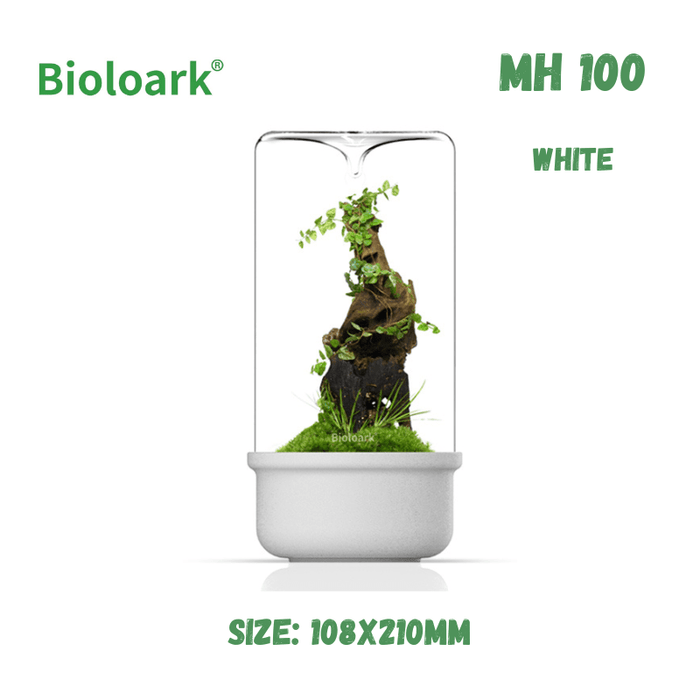 BIOLOARK - Bio Bottle Terrarium (MH-80/100/120) (Black/White)