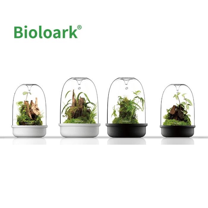 BIOLOARK - Bio Bottle Terrarium (MQ-150/175) (Black/White)