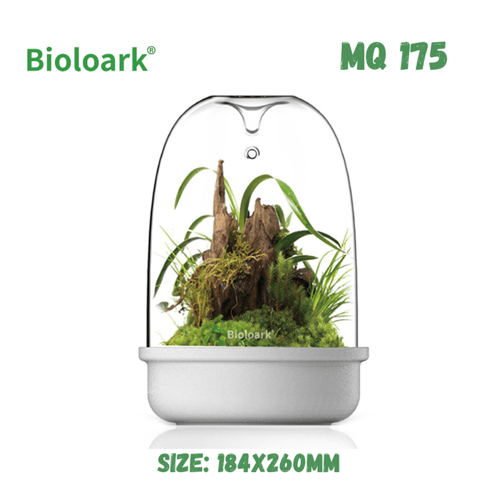 BIOLOARK - Bio Bottle Terrarium (MQ-150/175) (Black/White)