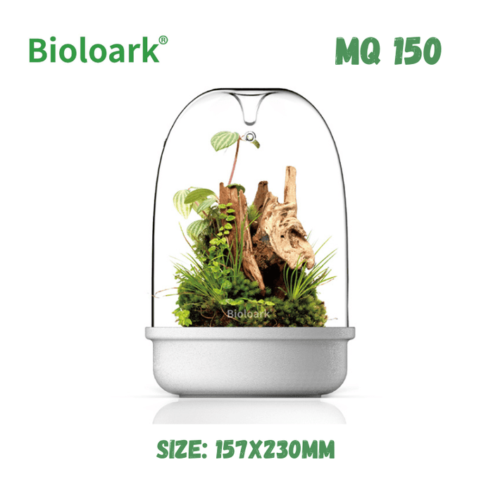 BIOLOARK - Bio Bottle Terrarium (MQ-150/175) (Black/White)