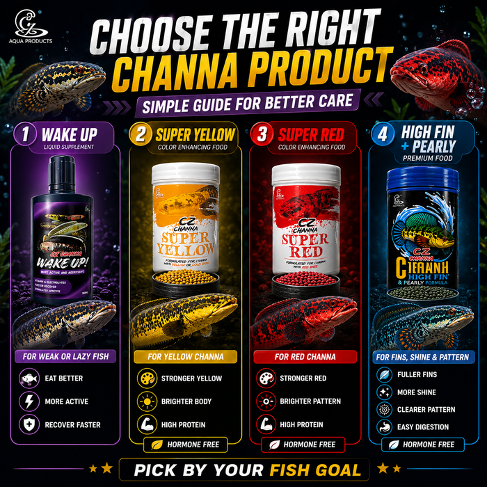 CZ Aqua Channa Wake Up 50g