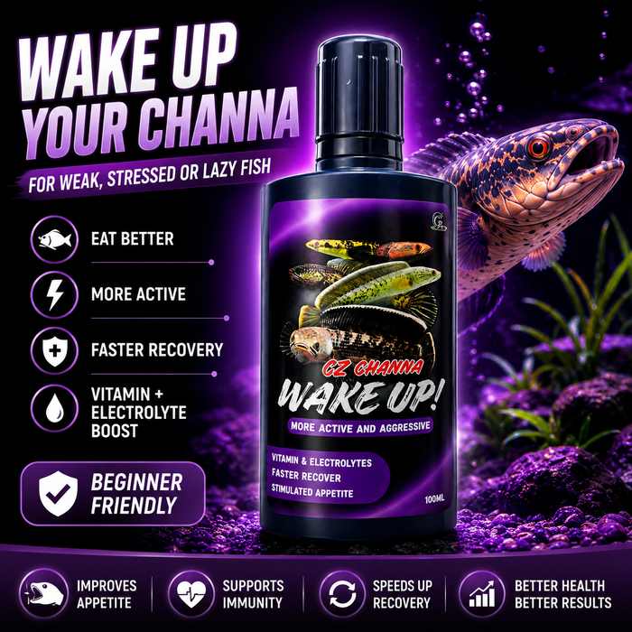 CZ Aqua Channa Wake Up 50g