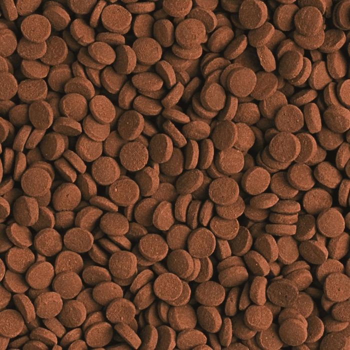 Tropical Carnivore (high energy and protein)