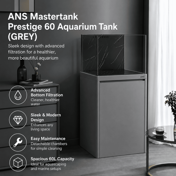 ANS Mastertank Prestige 60 Aquarium Tank (GREY)