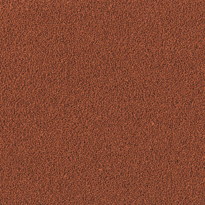 Tropical Discus Gran D-50 Plus Baby (high color and growth)