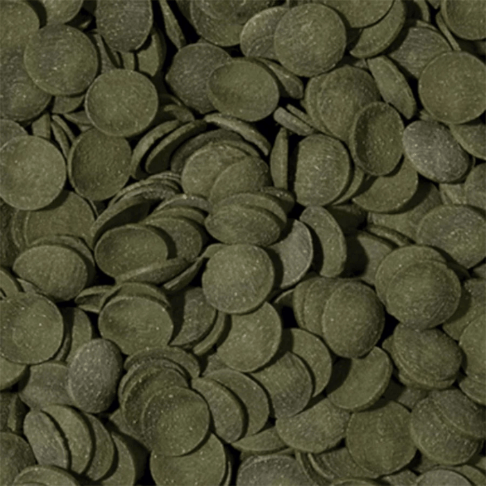 Tropical Green Algae Wafers (boost with spirulina)