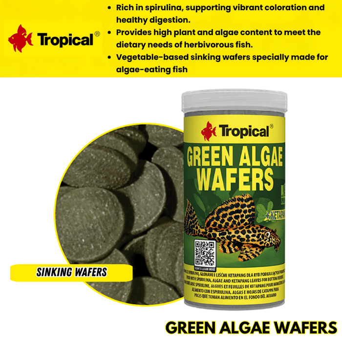 Tropical Green Algae Wafers (boost with spirulina)