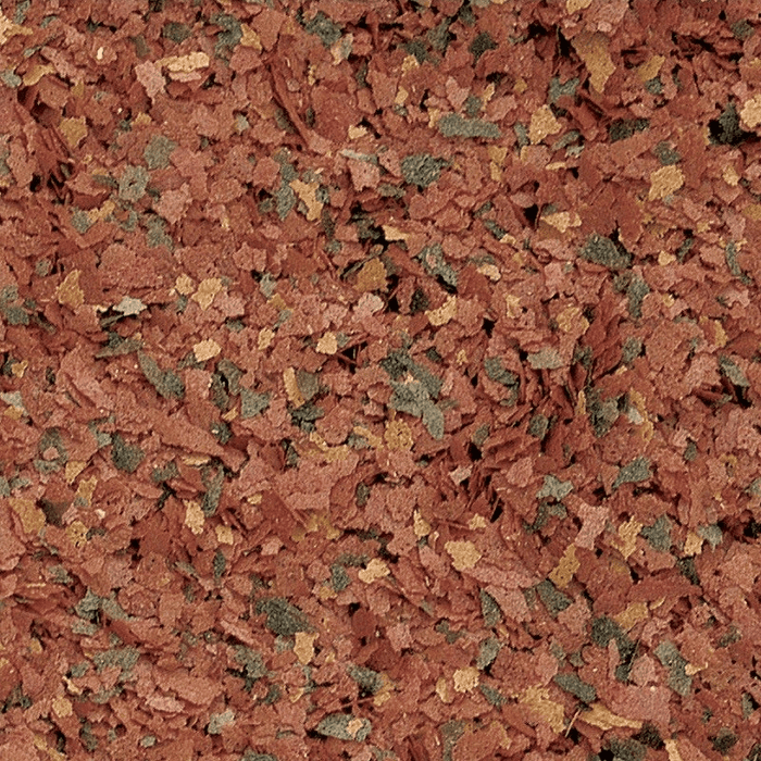 Tropical Guppy (colour enchancing)