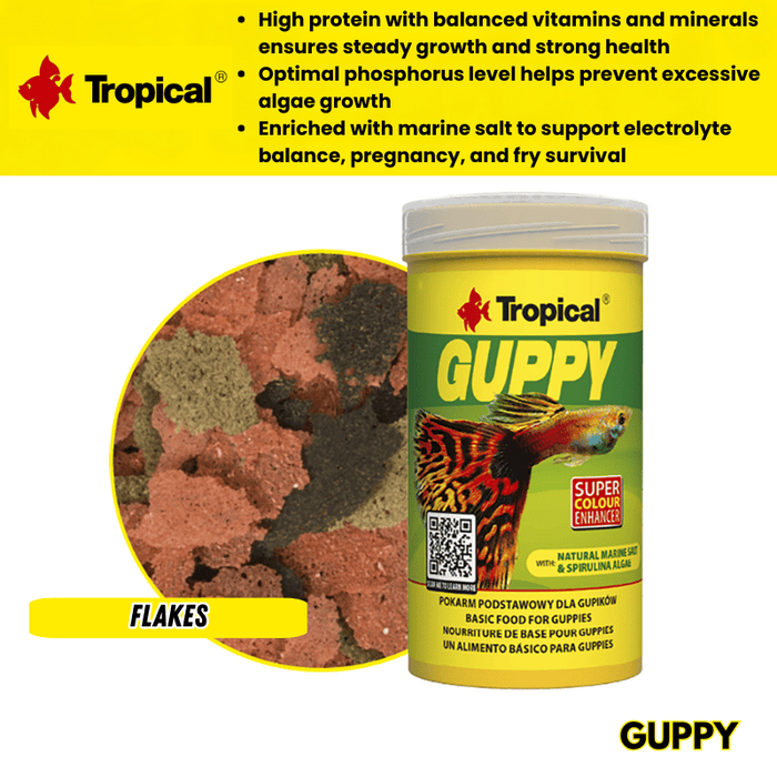 Tropical Guppy (colour enchancing)