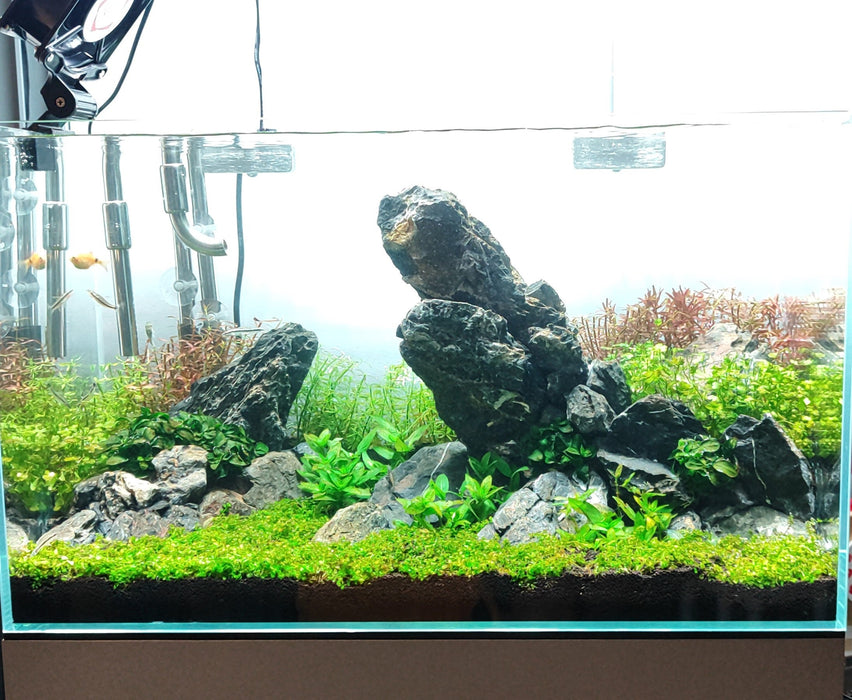 We Create an AQUASCAPE Tank for you