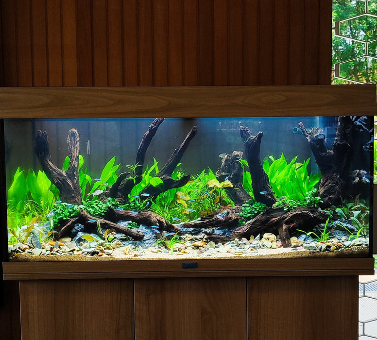 We Create an AQUASCAPE Tank for you