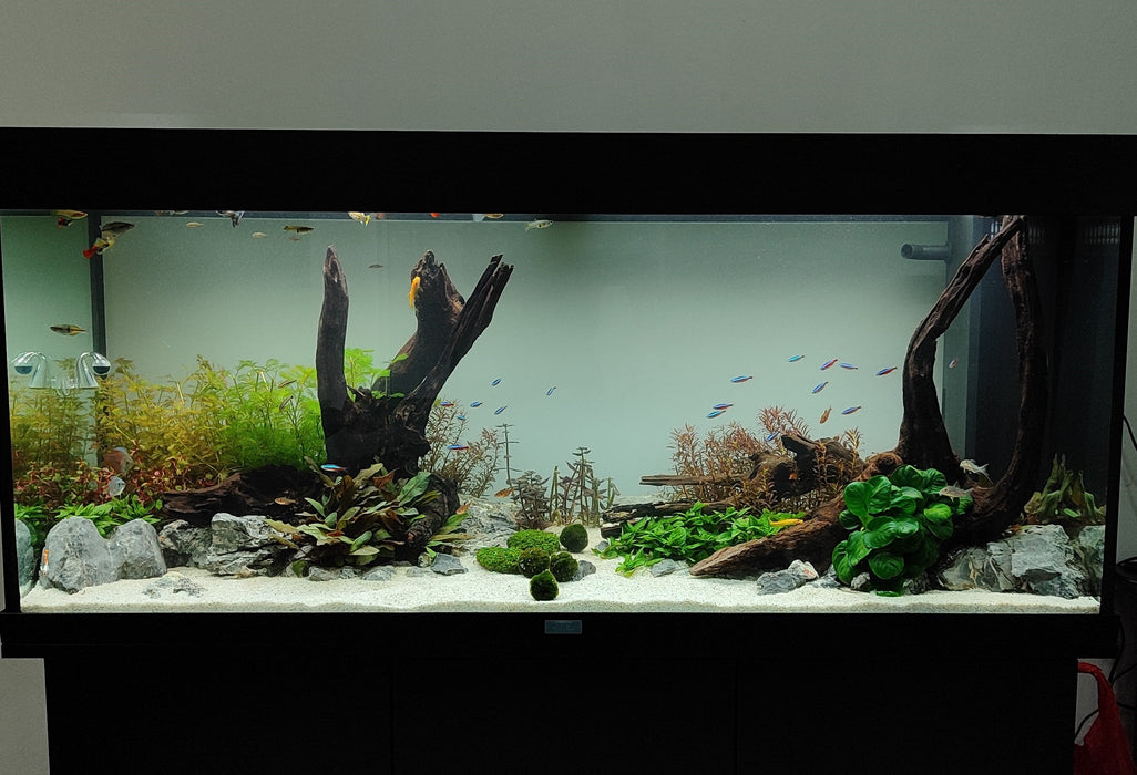 We Create an AQUASCAPE Tank for you