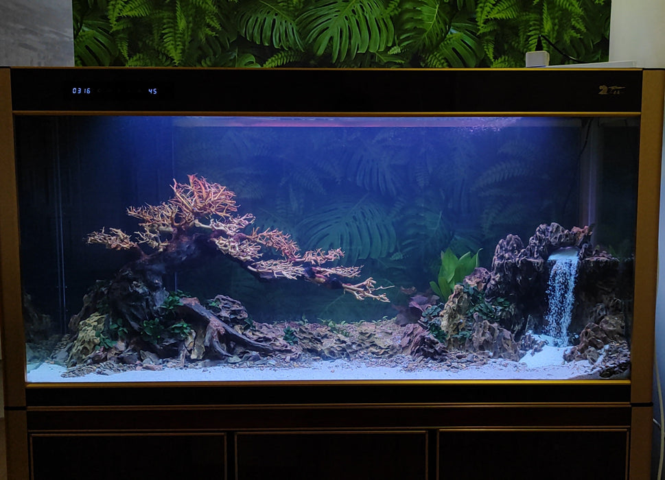 We Create an AQUASCAPE Tank for you