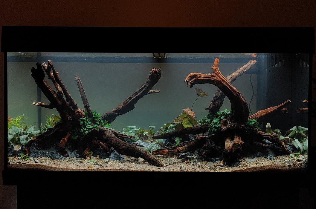 We Create an AQUASCAPE Tank for you