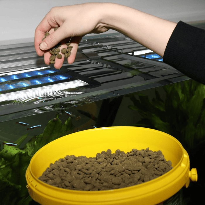 JBL ProNovo Pleco Wafer M/XL (Plecos Food With Natural Wood Fibres)