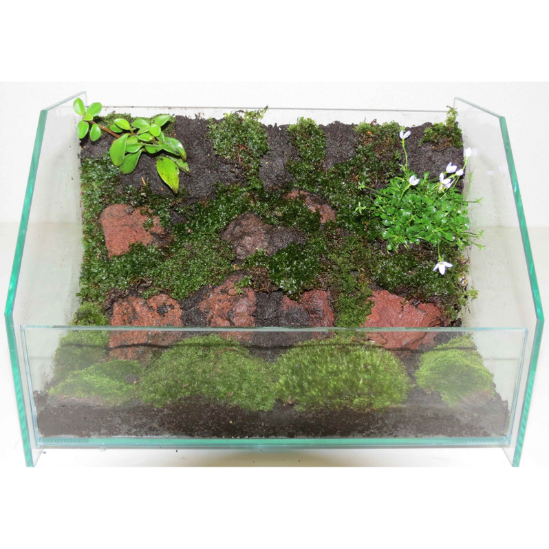 JUN Modeling Soil 1L (for Terrariums & Kokedama) — East Ocean Aquatic