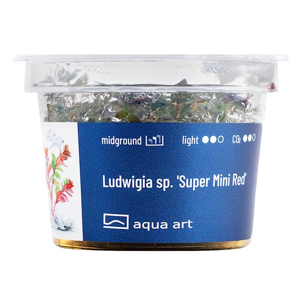 Aqua Art Ludwigia sp.'Super Mini Red'