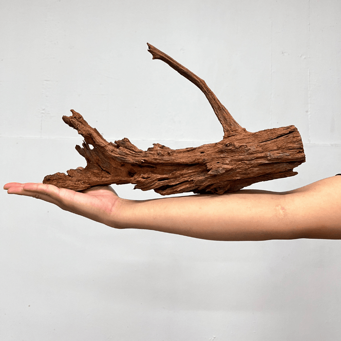 ANS Malayan Aquascape Driftwood L (40-48cm)