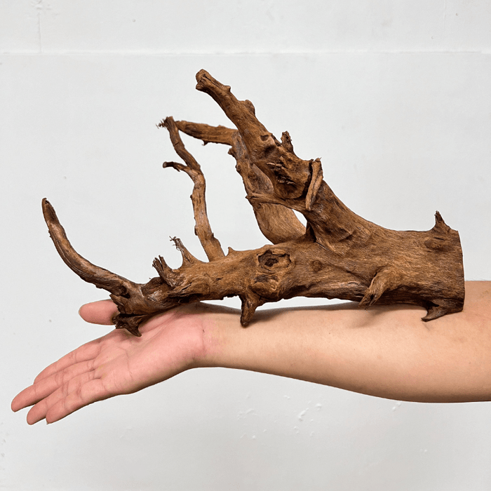 ANS Malayan Aquascape Driftwood M (30-38cm)