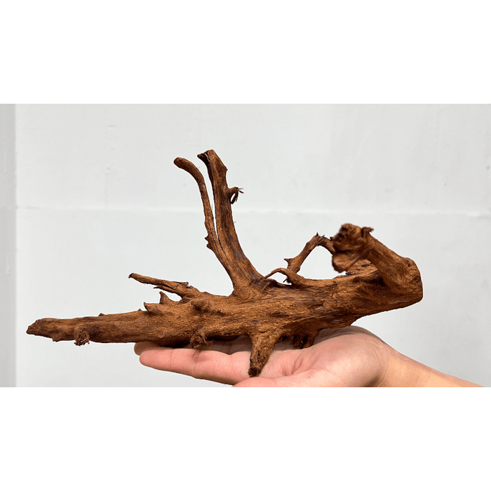 ANS Malayan Aquascape Driftwood S (20-30cm)