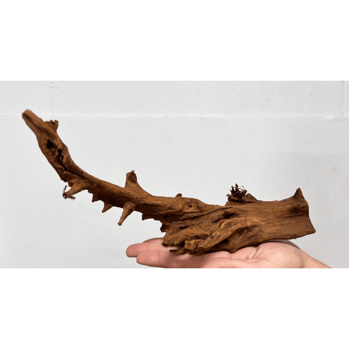 ANS Malayan Aquascape Driftwood S (20-30cm)