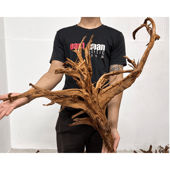 ANS Malayan Aquascape Driftwood XL (50-63cm)