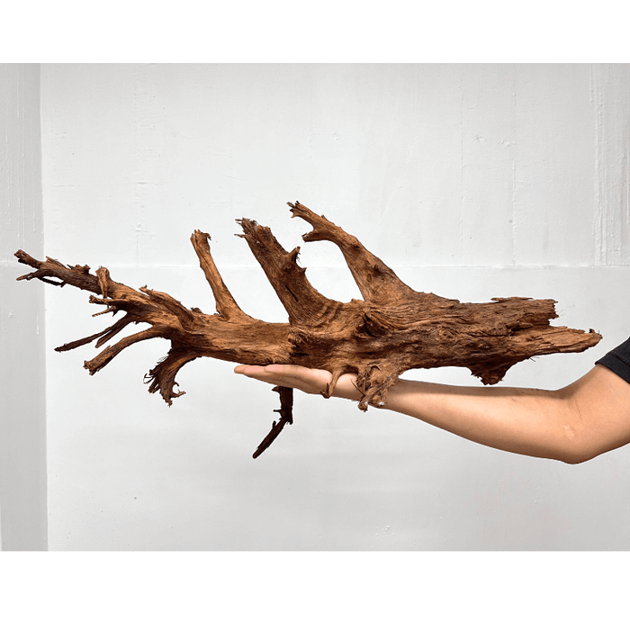 ANS Malayan Aquascape Driftwood XL (50-63cm)