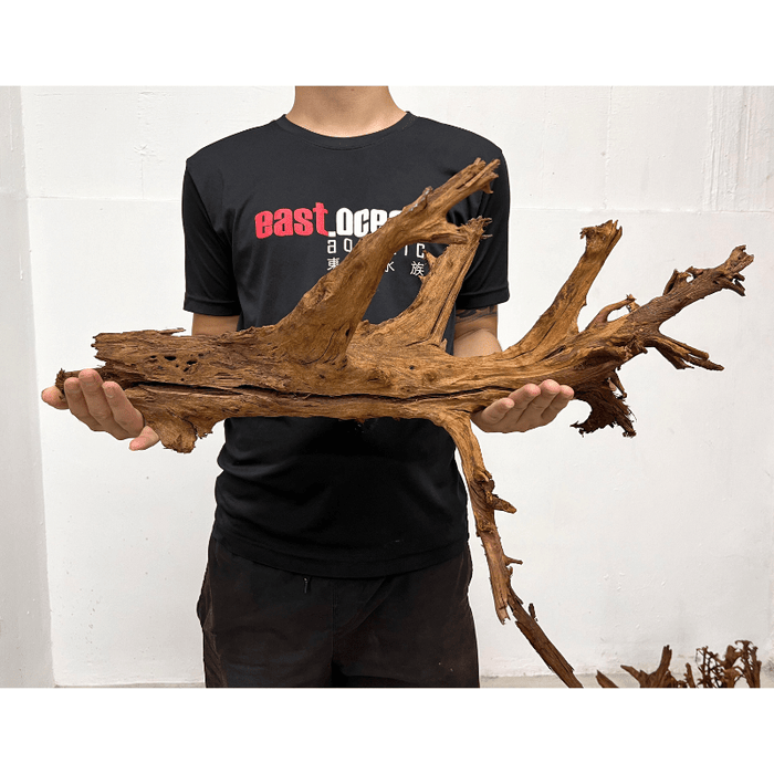 ANS Malayan Aquascape Driftwood XL (50-63cm)