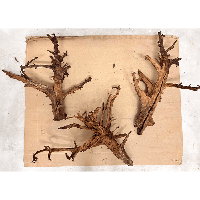 ANS Malayan Aquascape Driftwood XL (50-63cm)