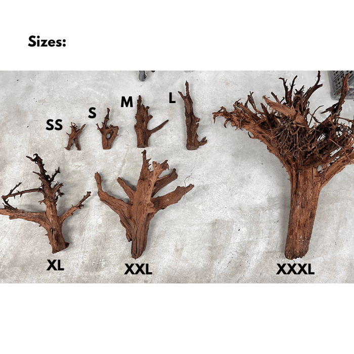 ANS Malayan Aquascape Driftwood SS (15-20cm)