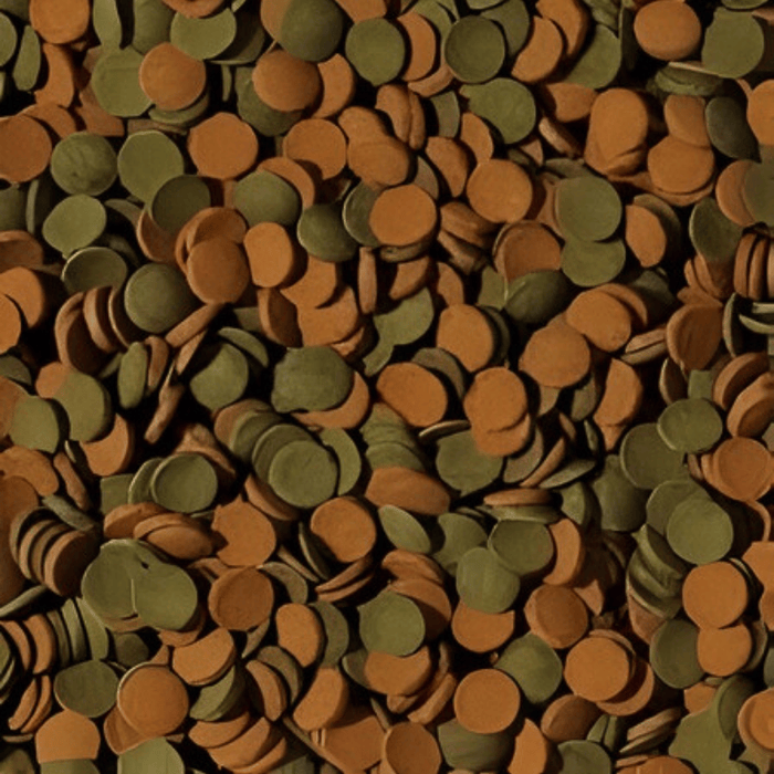 Tropical Mini Wafers Mix (boost with spirulina and astaxanthin)