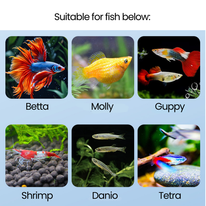 NF Breeder Box - SL-02/03 (Square/Round)