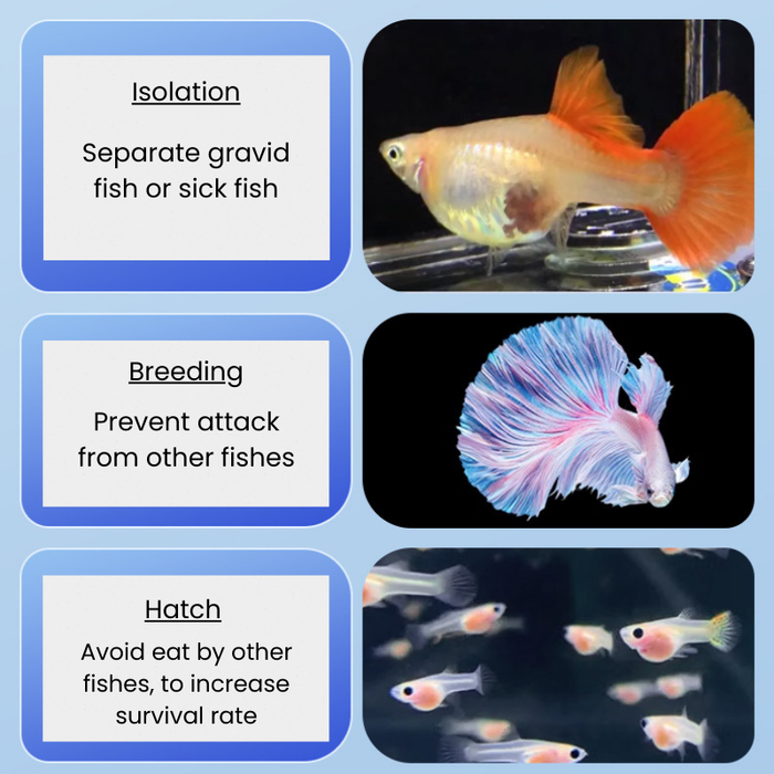 NF Breeder Box - SL-02/03 (Square/Round)