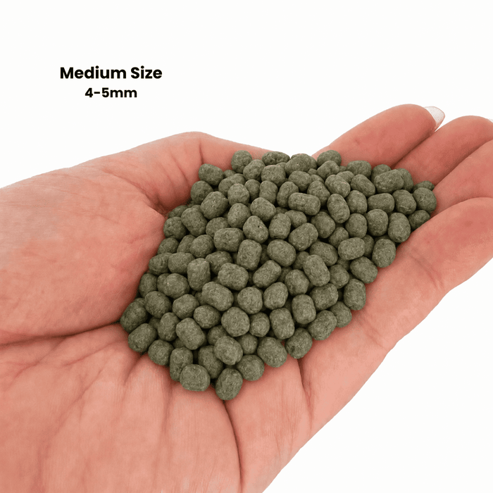 NF Fish Feed (Green Pellet) Small/Medium 1kg