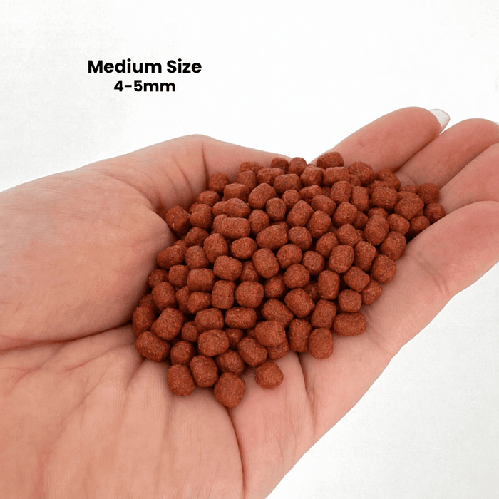 NF Fish Feed (red pellet) small/medium 1kg