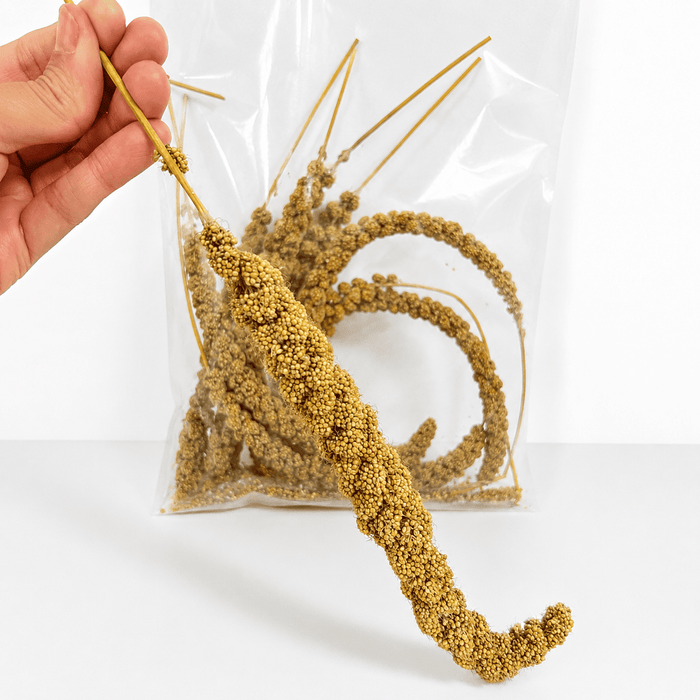 NF Millet Spray 150g for Pet Birds
