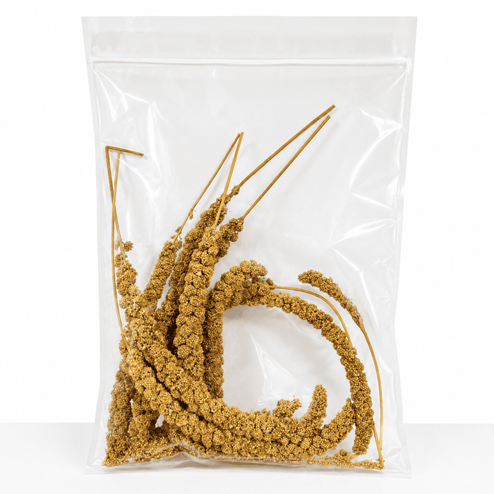 NF Millet Spray 150g for Pet Birds