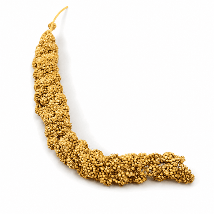 NF Millet Spray 150g for Pet Birds