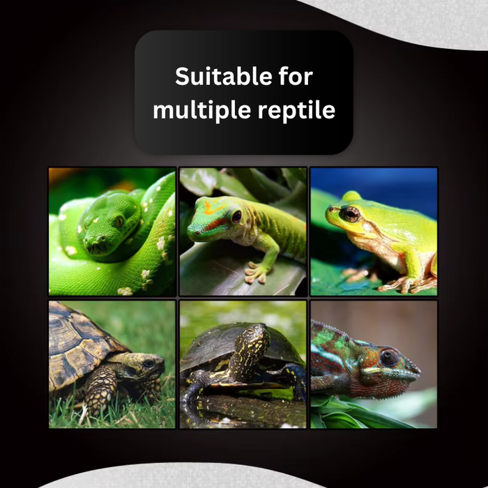 NOMOYPET NJ-10 Reptile Clamp Lamp (adjustable) - light bulb not included