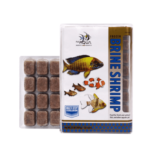 Frozen Brine Shrimp for Ornamental Fish: Ultimate Nutrition Boost