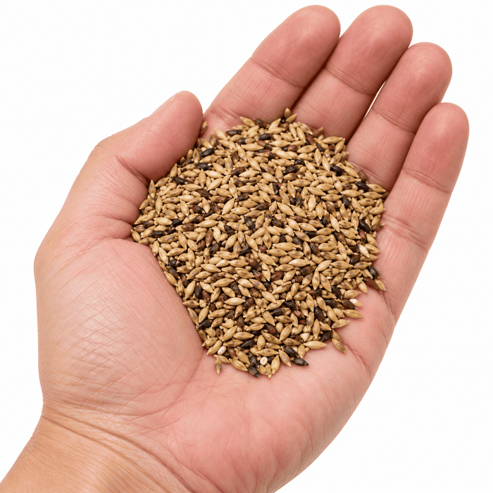 Nature Grains Canary Seed 1kg