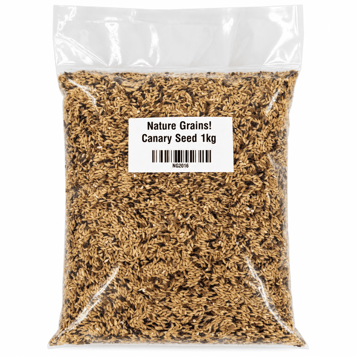 Nature Grains Canary Seed 1kg