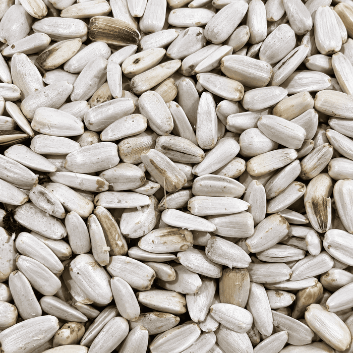 Nature Grains White Sunflower Seeds 1kg